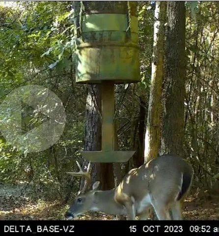 a view of a door of the house