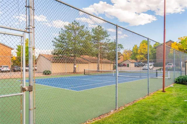 a view of a garden from a windows