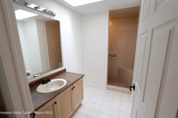a bathroom with a sink a mirror and a shower