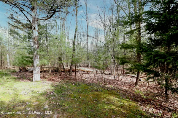 a view of a park with a bench and trees