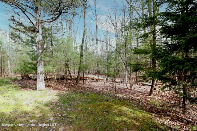 a view of a park with a bench and trees