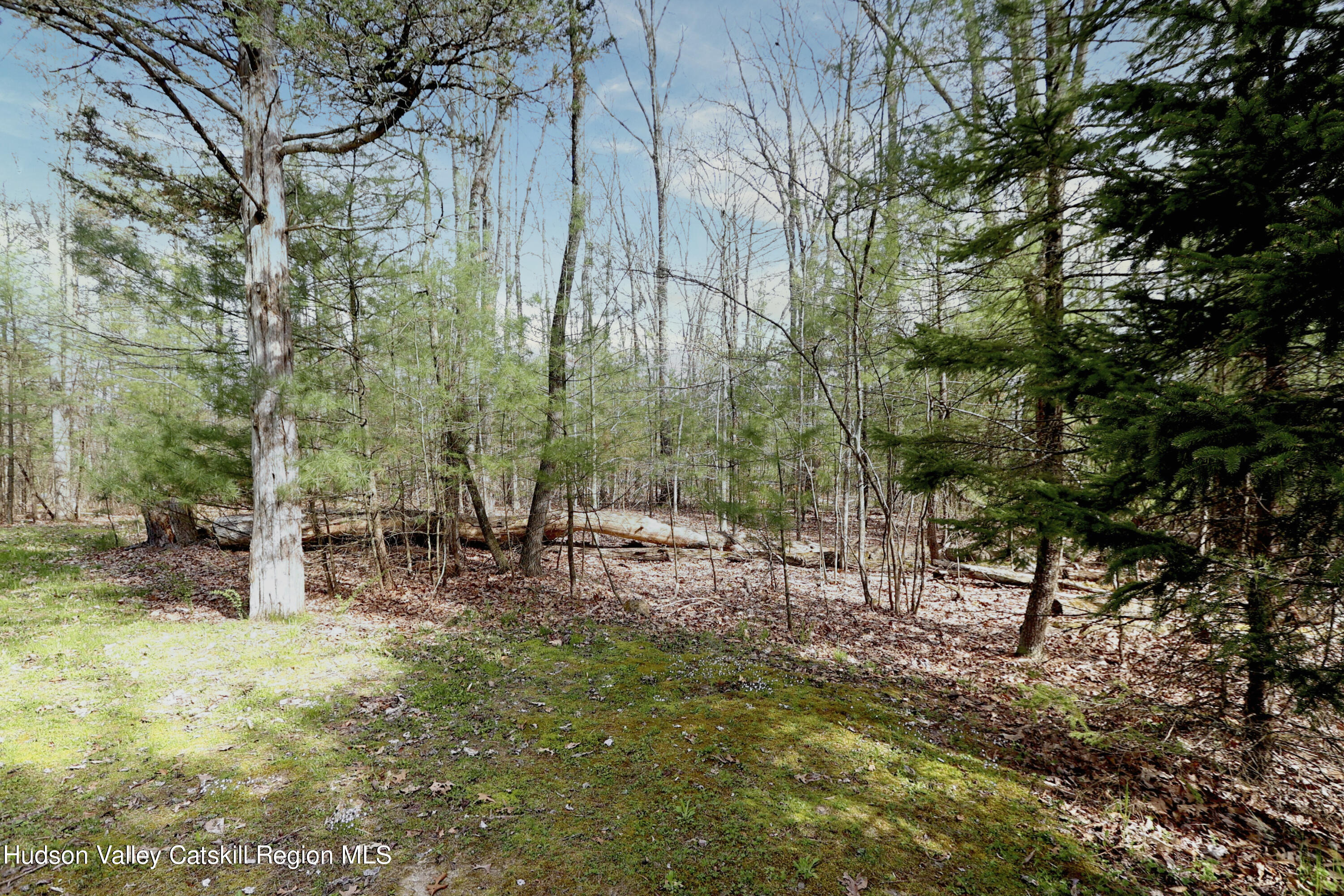 63 Lawrence Hill Road Accord, NY 12404 - Photo 6 of 27 a view of a park with a bench and trees