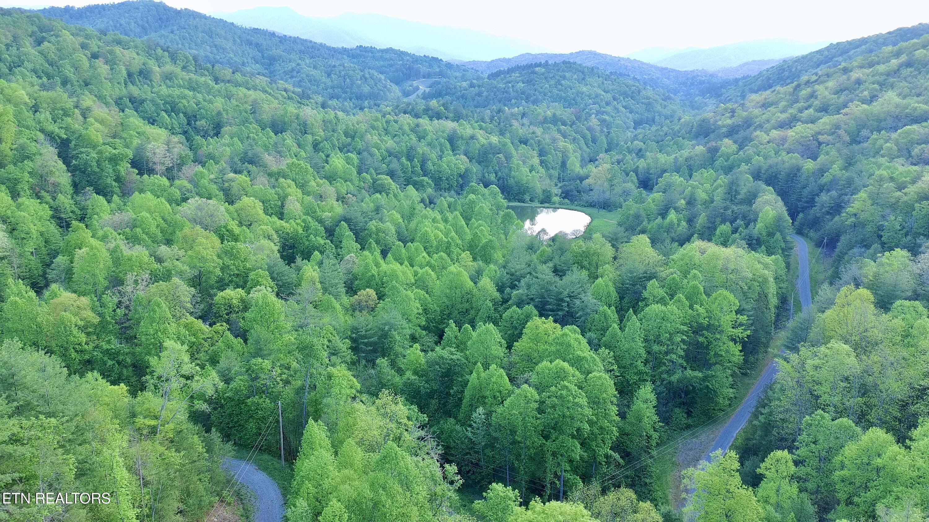 Lot 41 Black Maple Way Del Rio, TN 37727 - Photo 6 of 23 Black Maple Aerial6