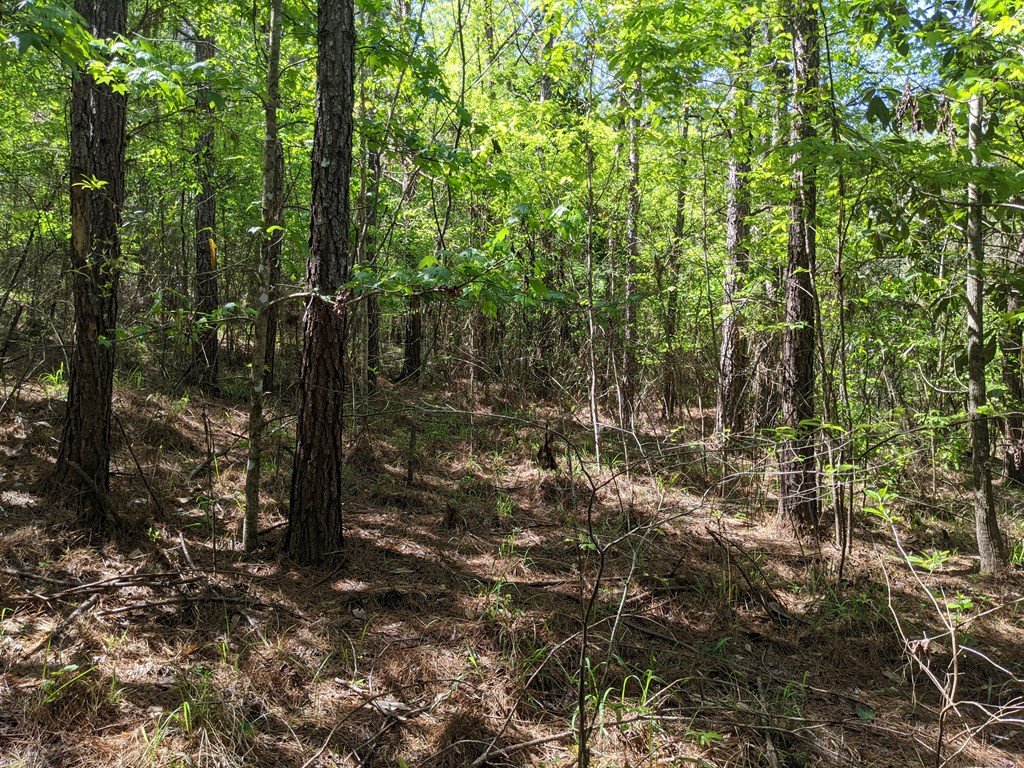 0 Lofton Road Brookhaven, MS 39601 - Photo 15 of 30 Photo 15