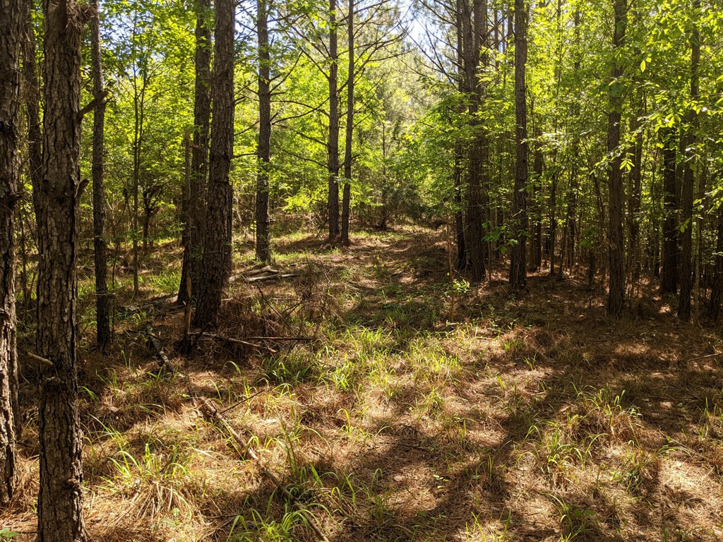 0 Lofton Road Brookhaven, MS 39601 - Photo 18 of 30 Photo 18