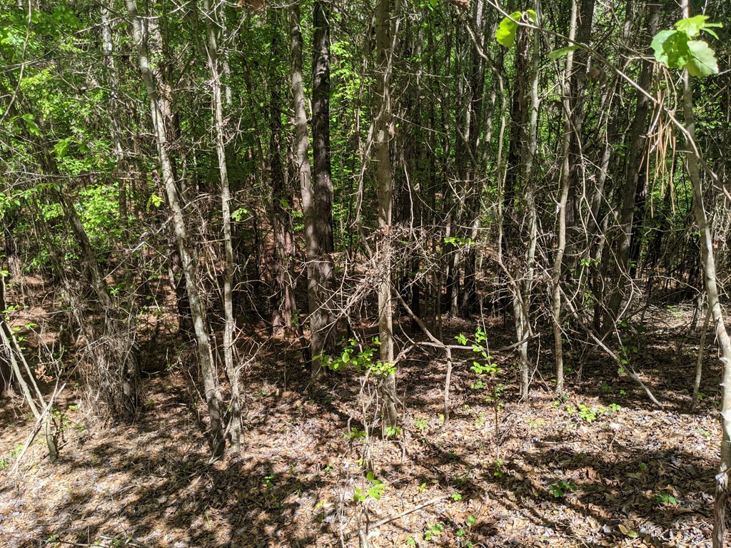 0 Lofton Road Brookhaven, MS 39601 - Photo 6 of 30 Photo 6