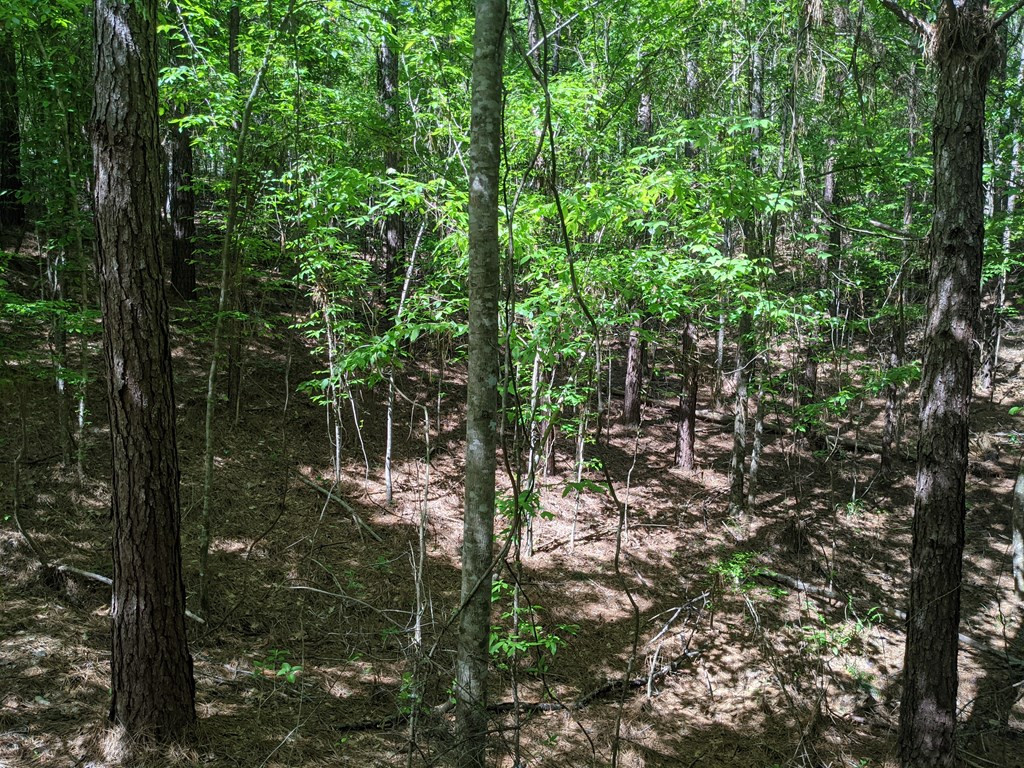 0 Lofton Road Brookhaven, MS 39601 - Photo 7 of 30 Photo 7