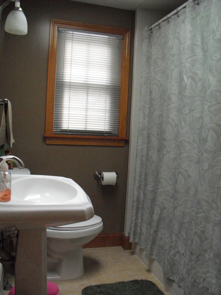 850 Daniels Road Clarksburg, MA 01247 - Photo 8 of 28 Bathroom