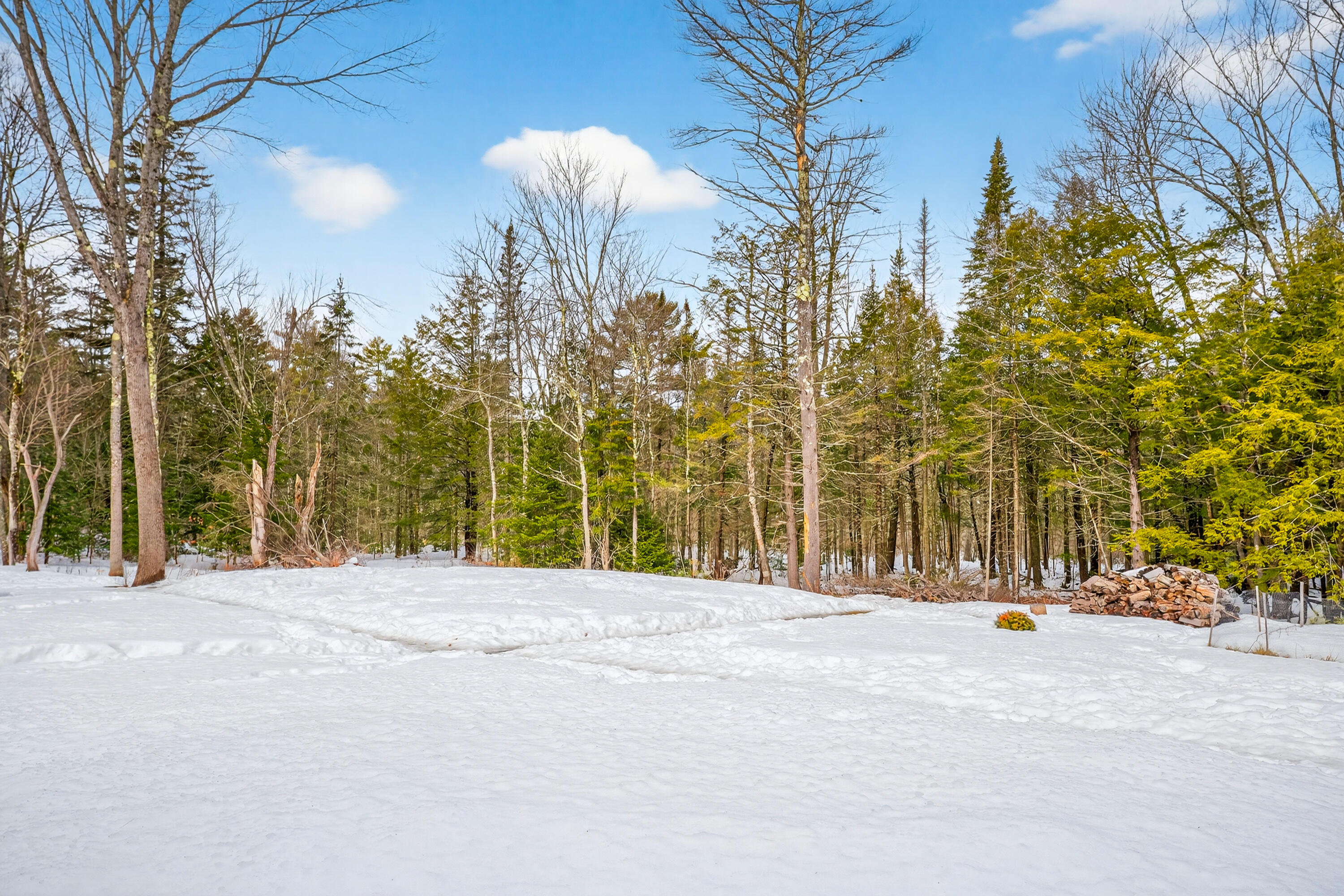 42 Hillside Road Brunswick, ME 04011 - Photo 47 of 47 111_42 Hillside Rd_MorneauStudios_print