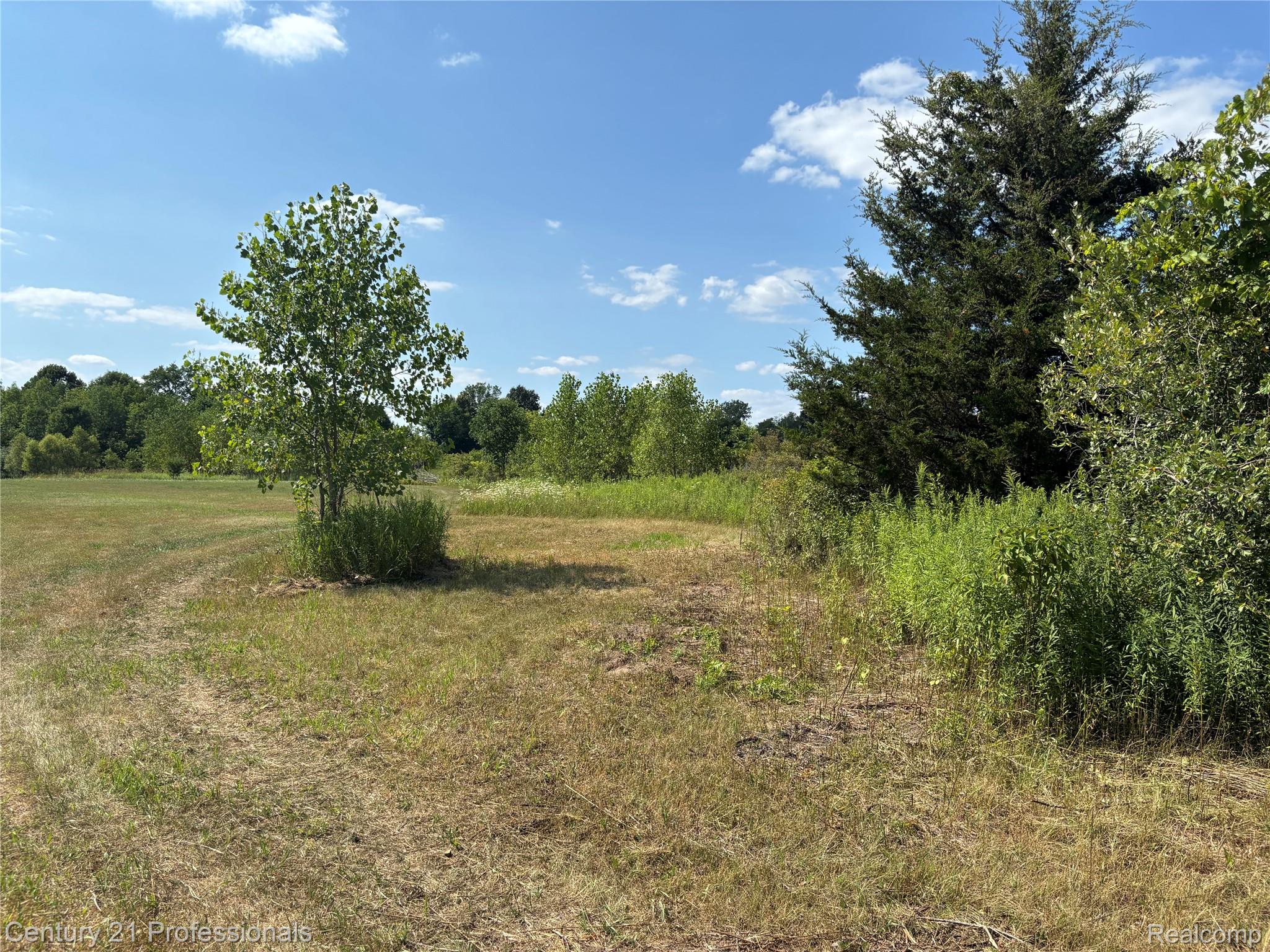 0 Callis Road Lapeer, MI 48446 - Photo 33 of 45 IMG_3957.jpeg