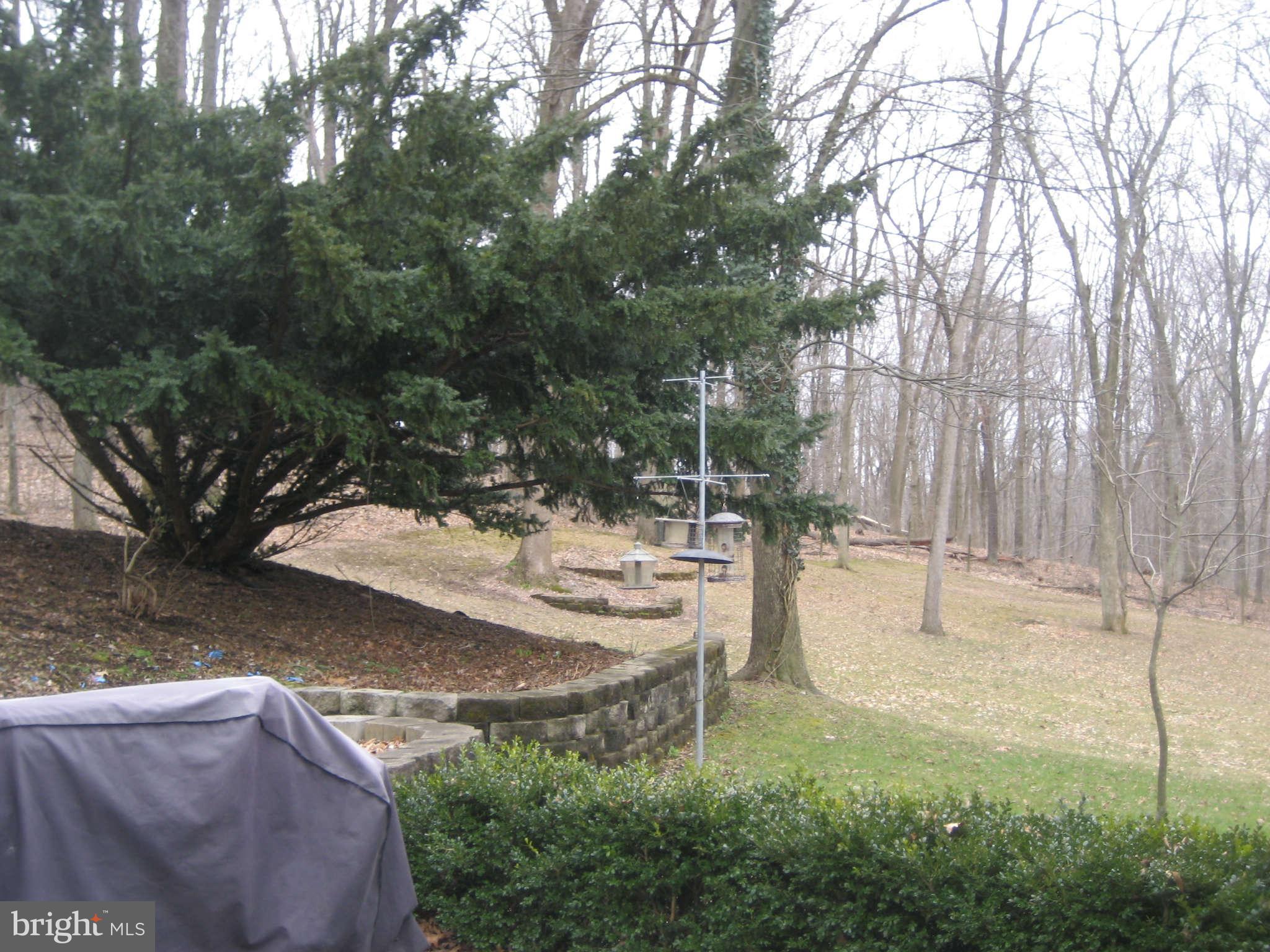 13231 Gruber Road Clear Spring, MD 21722 - Photo 14 of 15 View