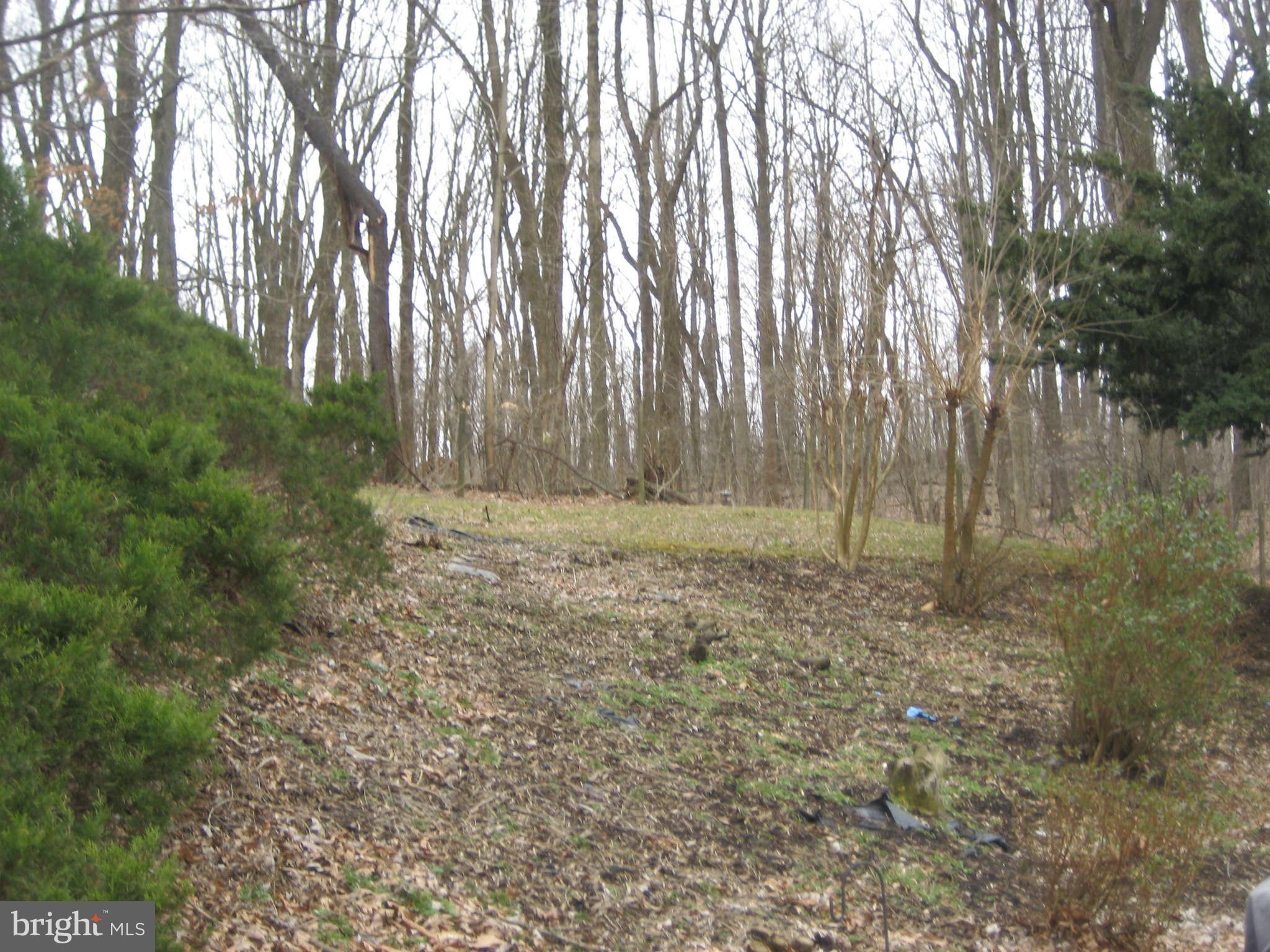 13231 Gruber Road Clear Spring, MD 21722 - Photo 15 of 15 View