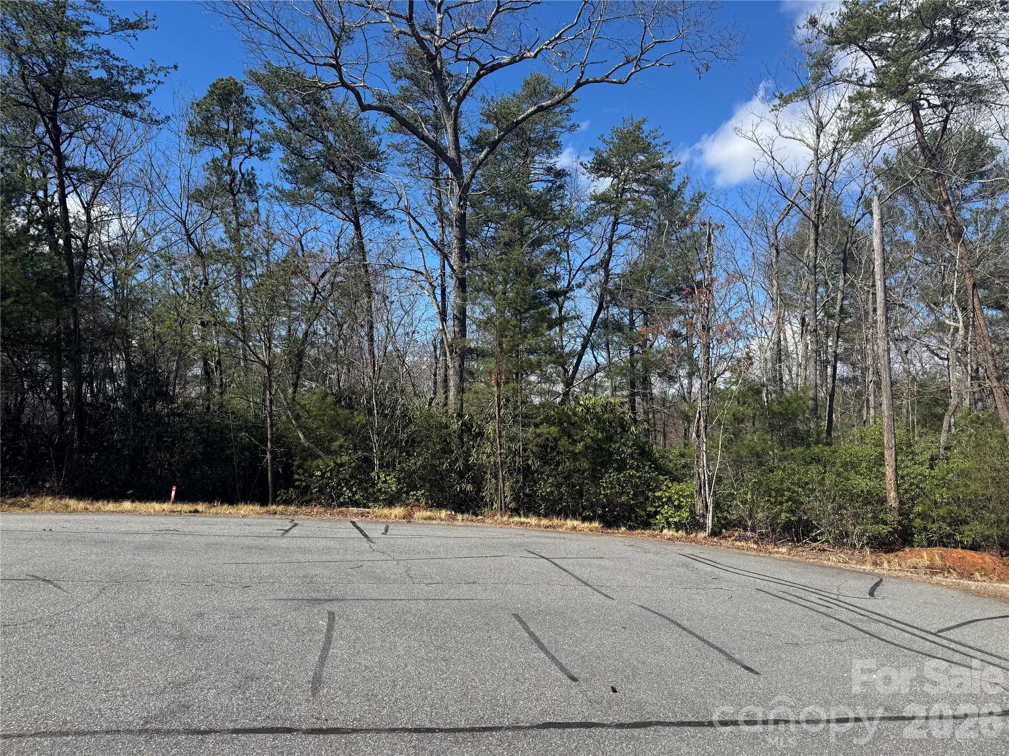 91 West Lake Road, Unit 91 Marion, NC 28752 - Photo 3 of 5