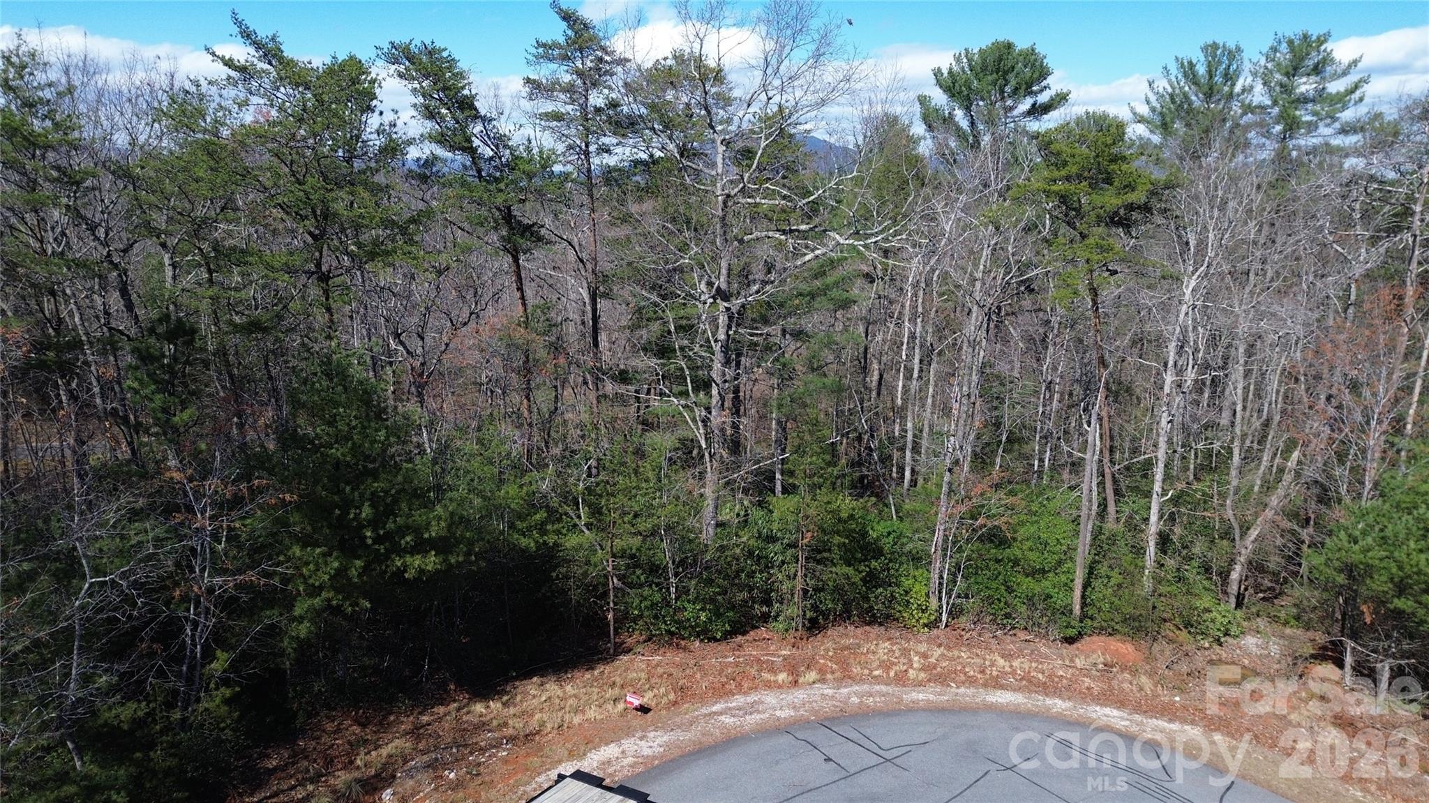 91 West Lake Road, Unit 91 Marion, NC 28752 - Photo 4 of 5