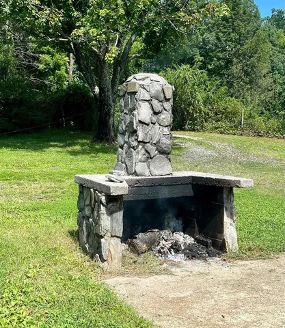 a view of a fire pit with large trees