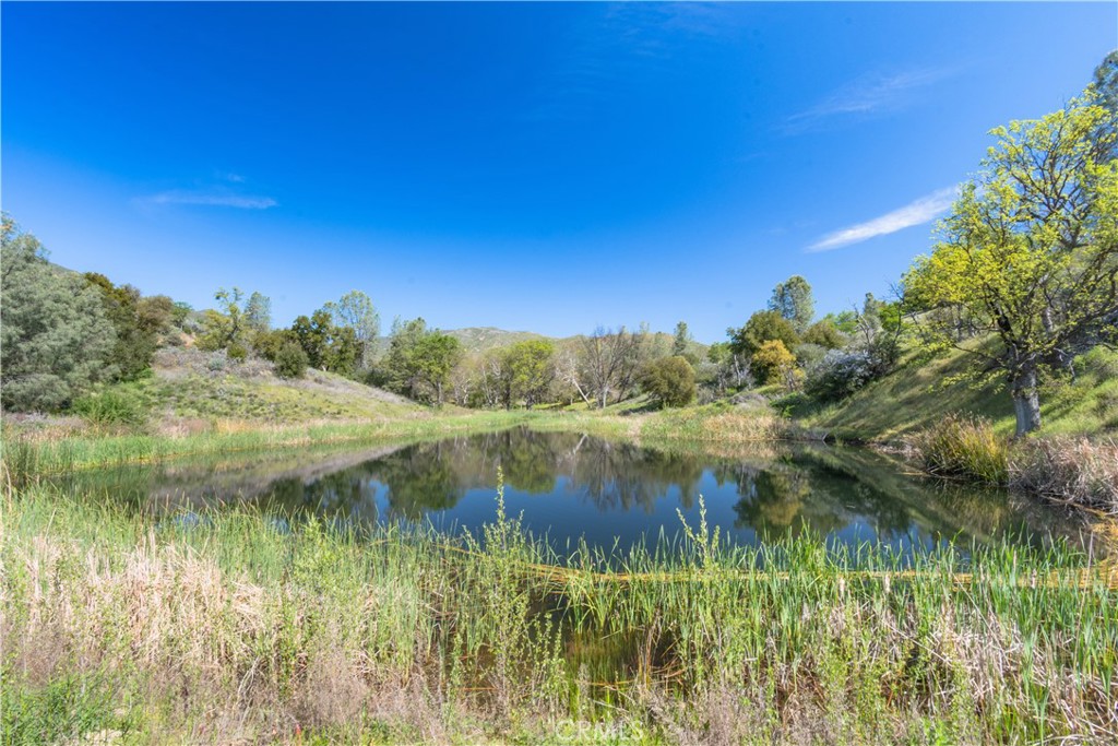 a view of lake with green space