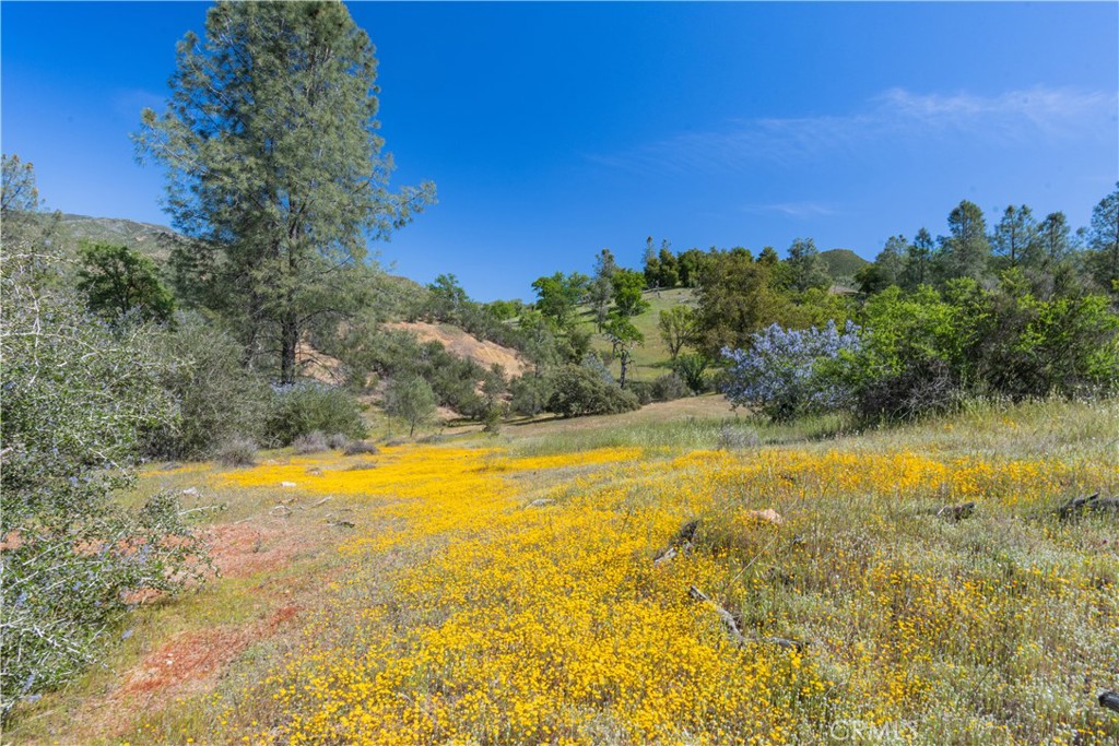 0 Av Ranch Road Greenfield, CA 93927 - Photo 14 of 26 a view of a swimming pool with an outdoor space and seating area