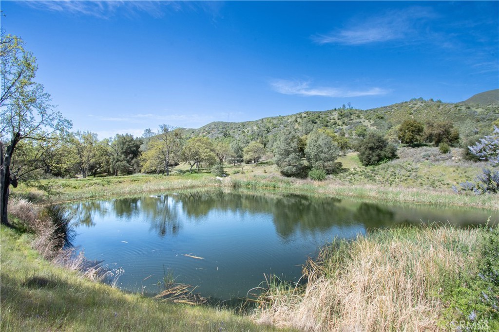 0 Av Ranch Road Greenfield, CA 93927 - Photo 16 of 26 a view of a lake with a forest