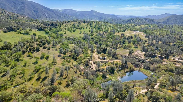 a view of a lush green field with a mountain in the background
