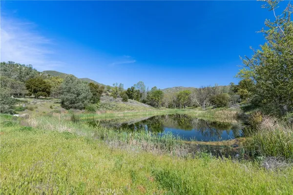 a view of a lake from a yard