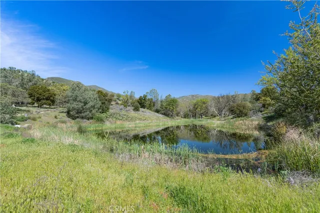 a view of a lake from a yard