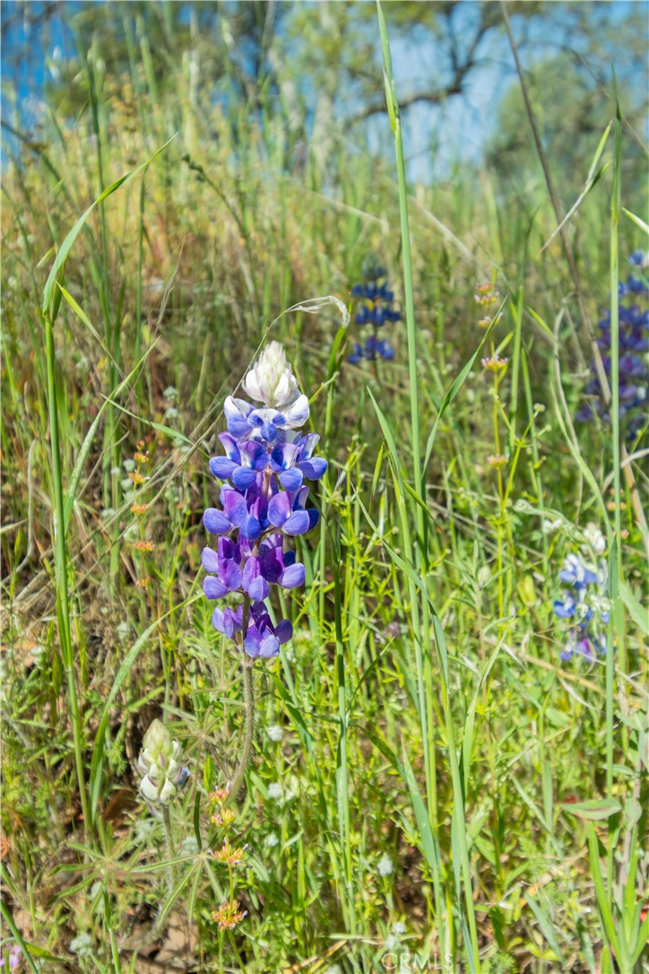 0 Av Ranch Road Greenfield, CA 93927 - Photo 9 of 26