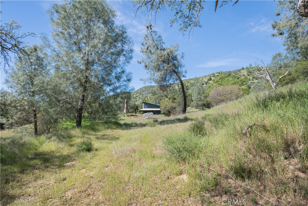 0 Av Ranch Road Greenfield, CA 93927 - Photo 10 of 26 a view of a yard with a tree