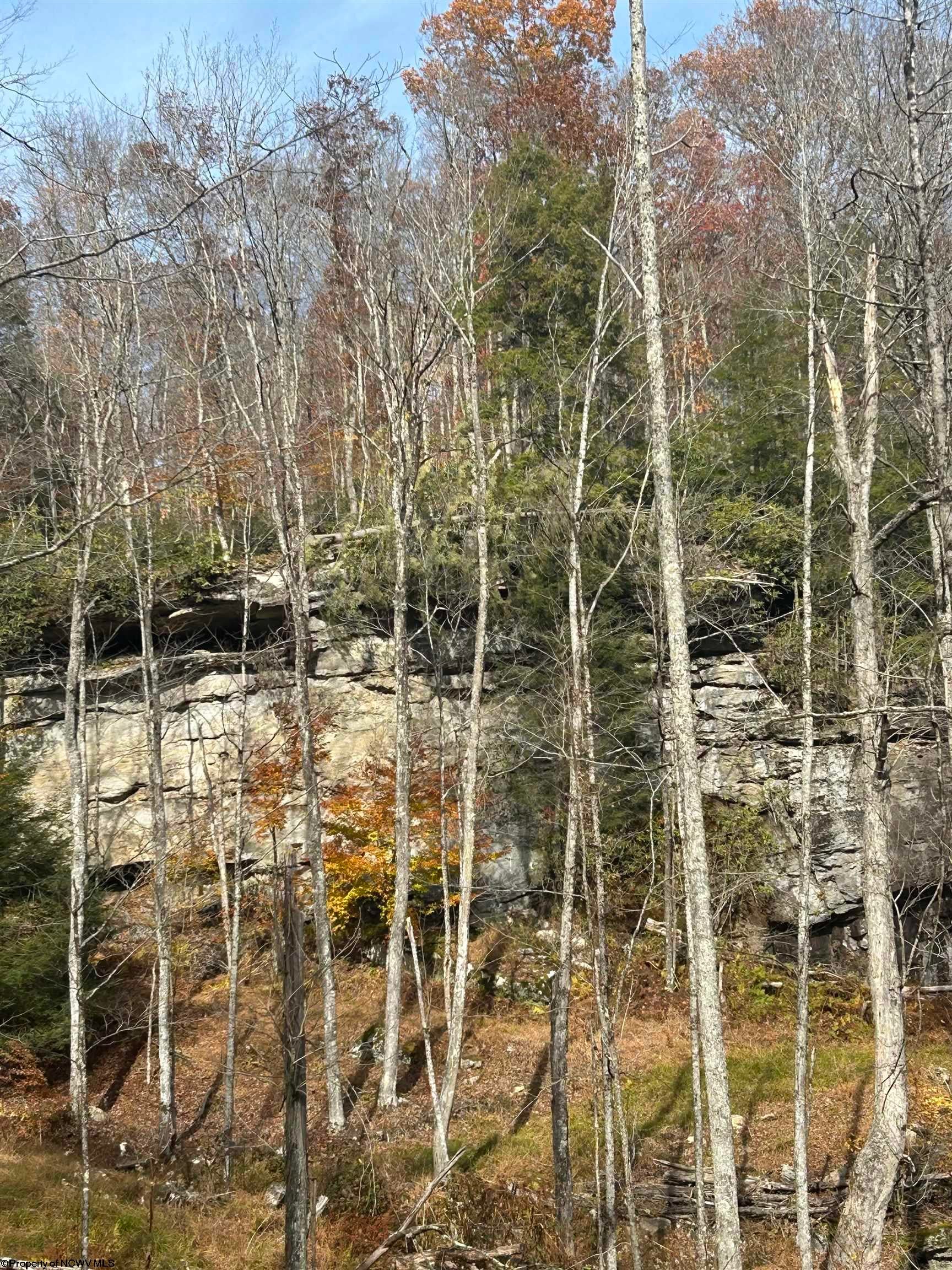 1092 Hinkle Ridge Road French Creek, WV 26218 - Photo 43 of 45 Gallery Image 43