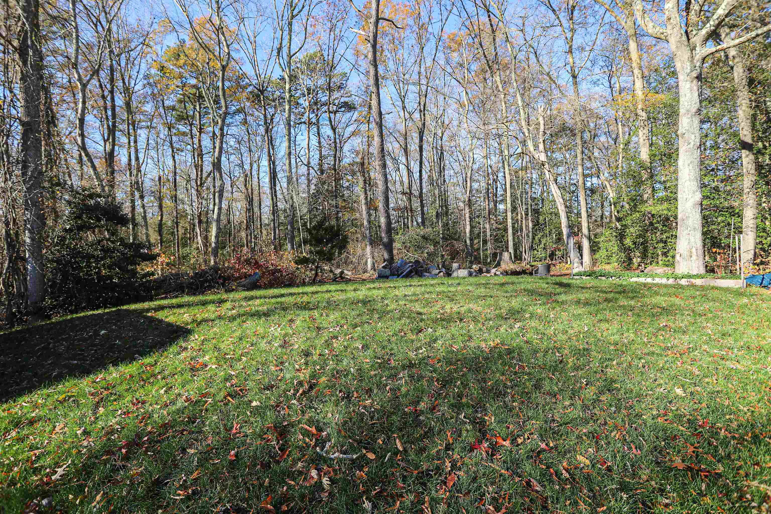 101 Sunset Road Corbin City, NJ 08270 - Photo 19 of 21 a view of a park with large trees