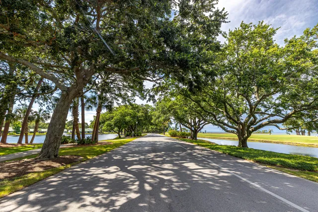 a view of road with tree