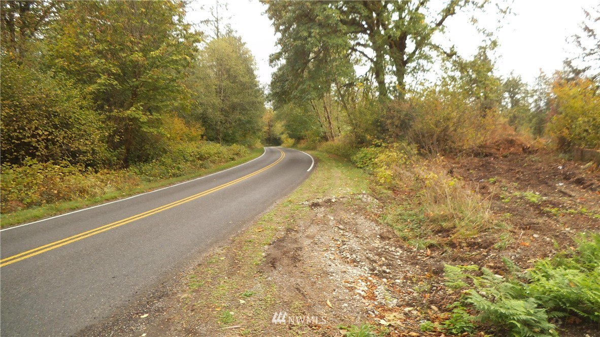 -xxxx 133rd Avenue Southwest Rochester, WA 98579 - Photo 3 of 6