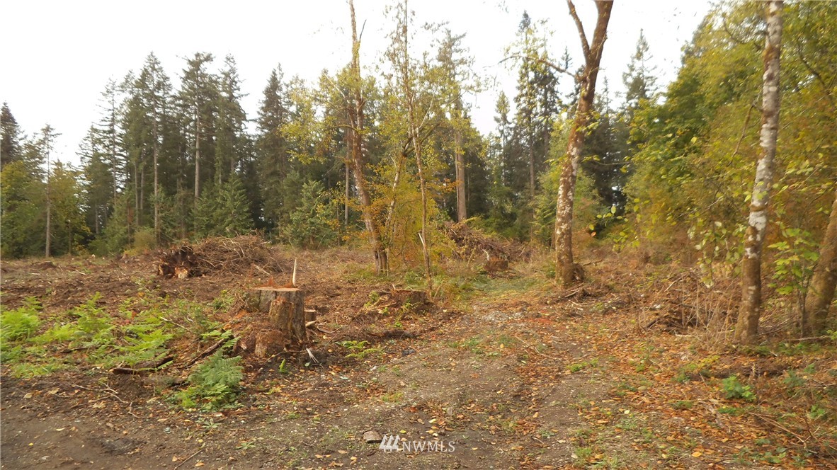 -xxxx 133rd Avenue Southwest Rochester, WA 98579 - Photo 5 of 6