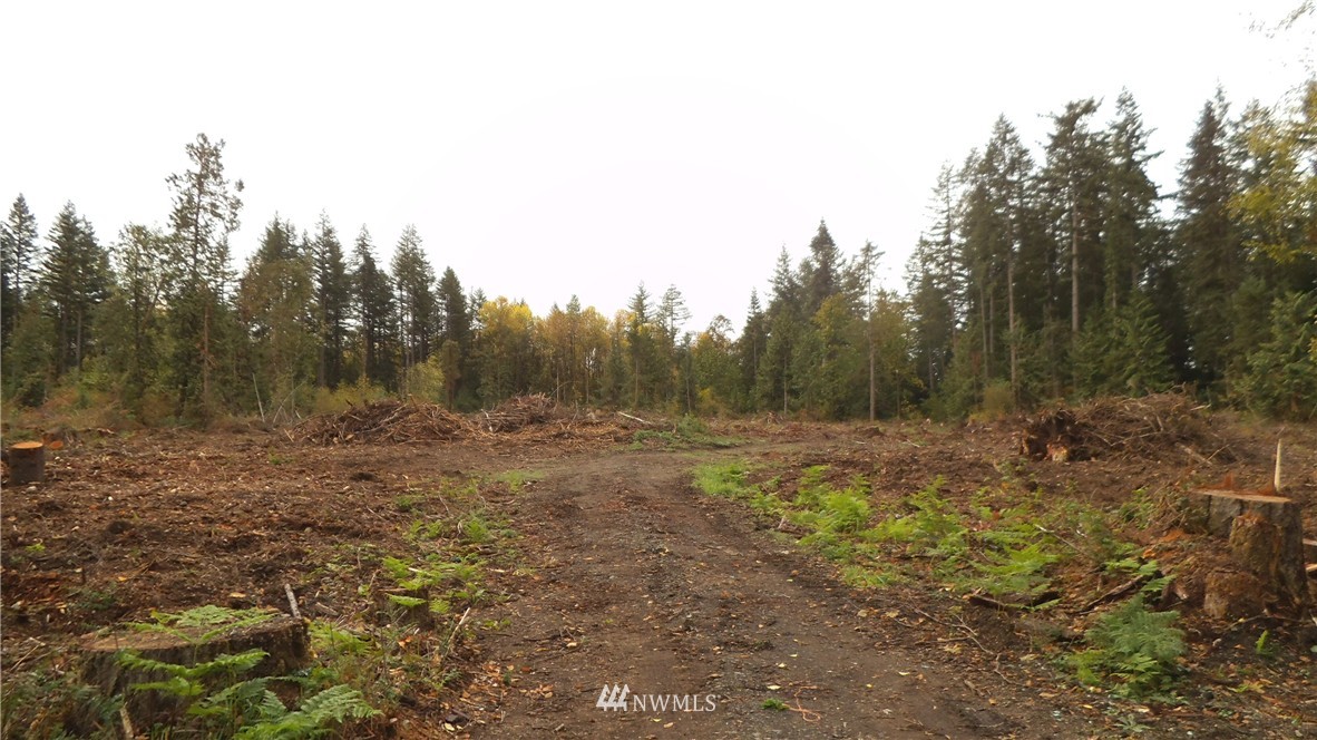 -xxxx 133rd Avenue Southwest Rochester, WA 98579 - Photo 6 of 6