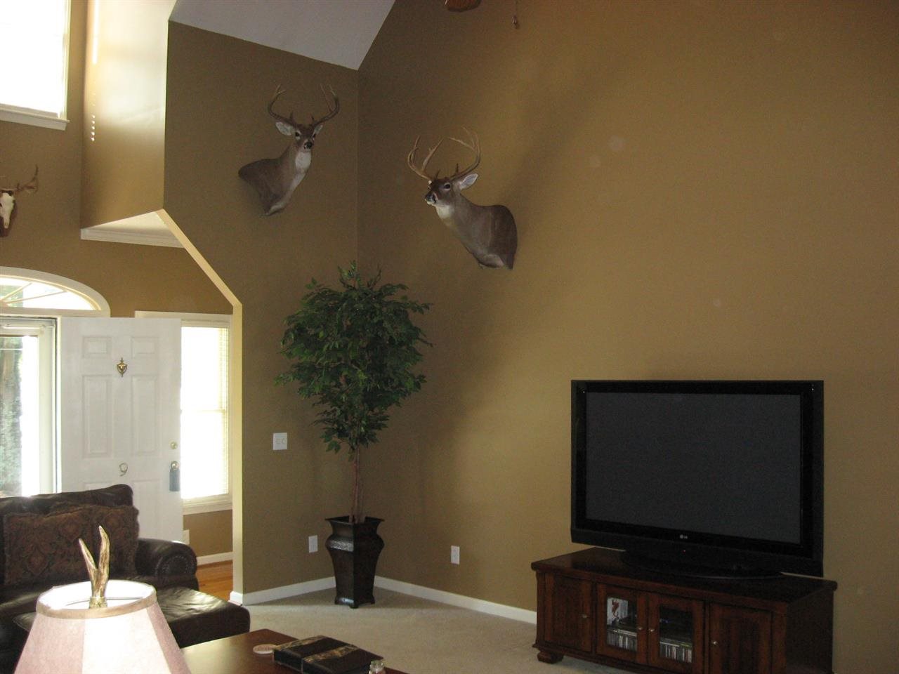 9 Harvester Lane Fountain Inn, SC 29644 - Photo 4 of 22 Gallery Image 4