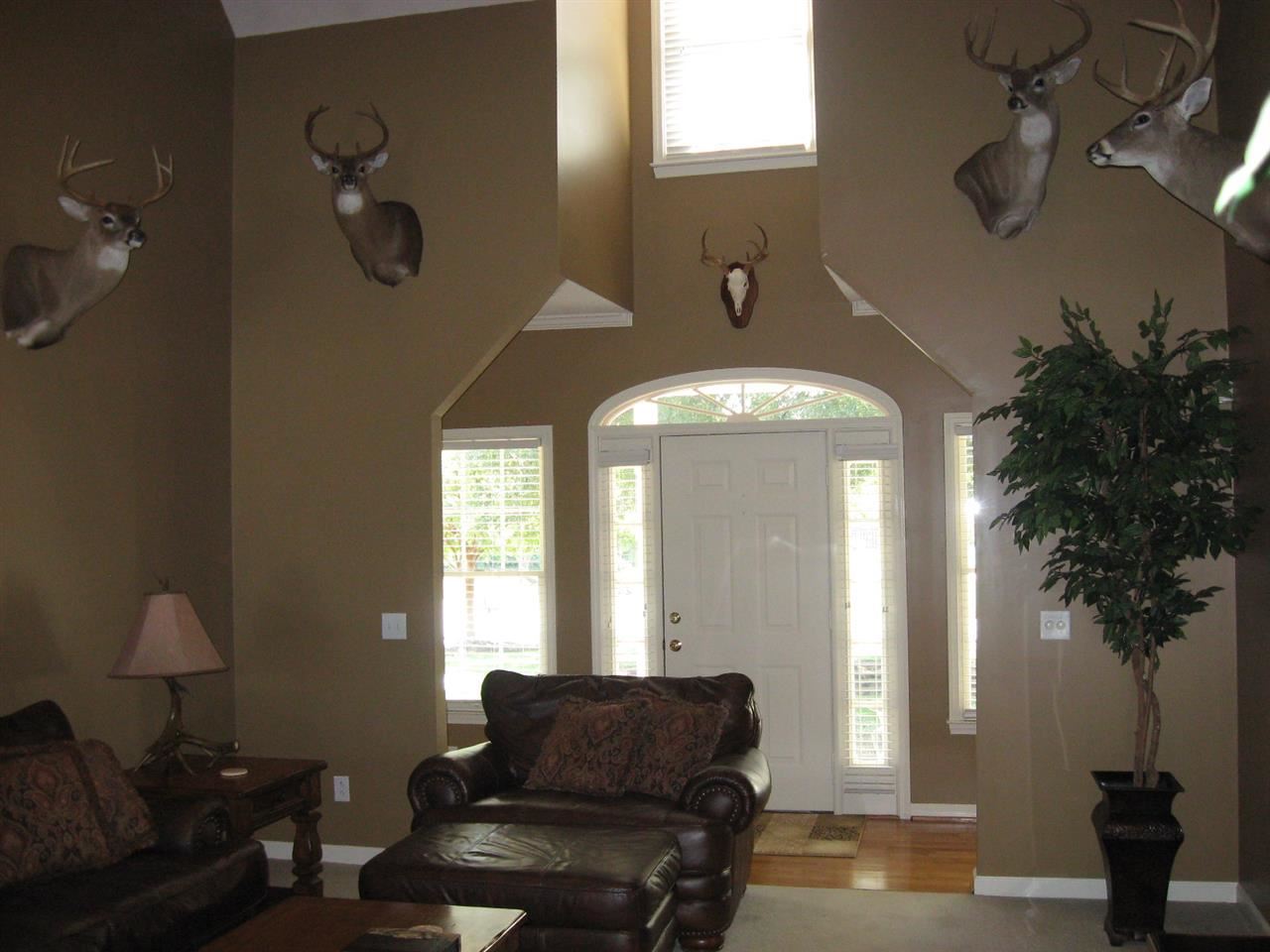 9 Harvester Lane Fountain Inn, SC 29644 - Photo 5 of 22 Gallery Image 5