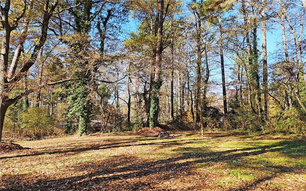 2232 Warren Drive Southwest Austell, GA 30106 - Photo 28 of 29