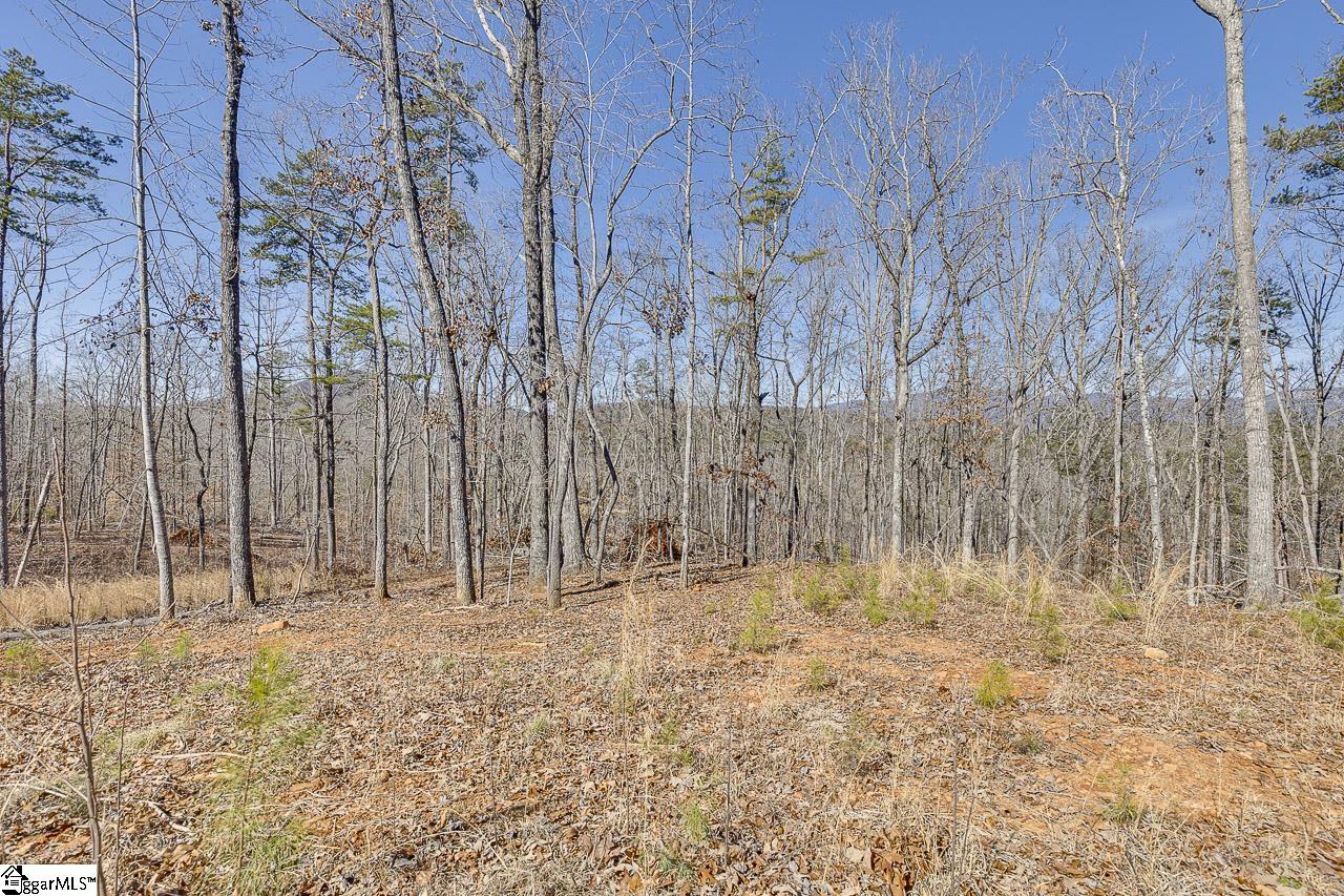 199 Corn Mill Road Pickens, SC 29671 - Photo 13 of 50