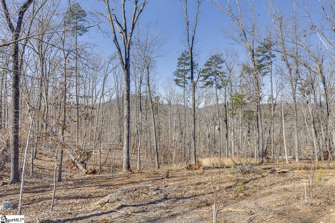 199 Corn Mill Road Pickens, SC 29671 - Photo 14 of 50