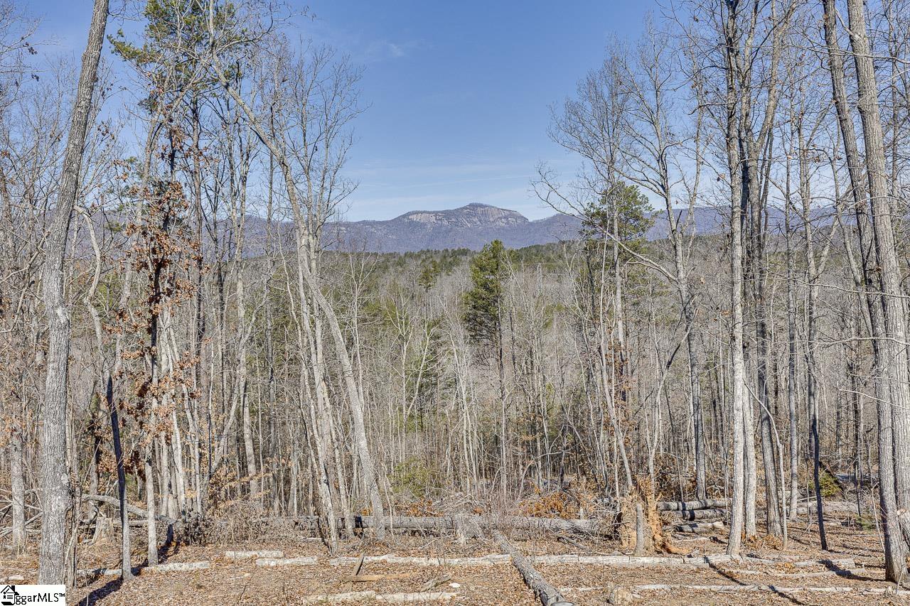 199 Corn Mill Road Pickens, SC 29671 - Photo 8 of 50