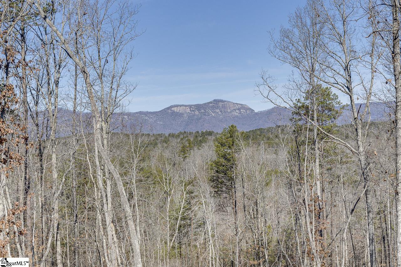 199 Corn Mill Road Pickens, SC 29671 - Photo 9 of 50