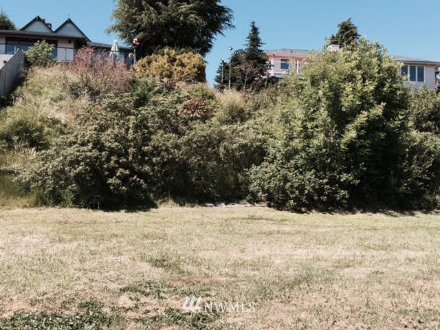 -xx Chehalis Road Blaine, WA 98230 - Photo 3 of 4 Gallery Image 3