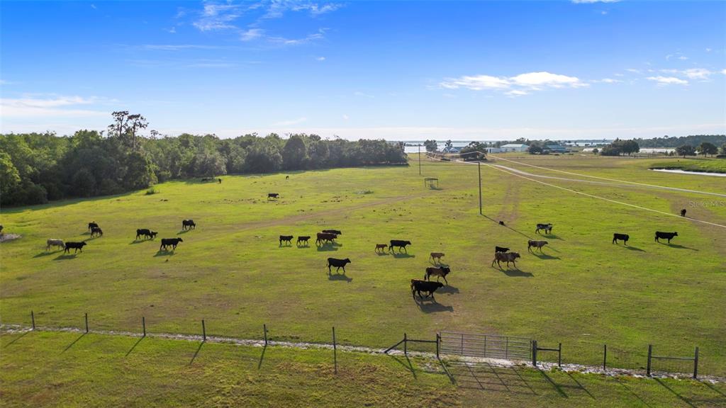 1980 Lake Buffum Road Fort Meade, FL 33841 - Photo 13 of 64