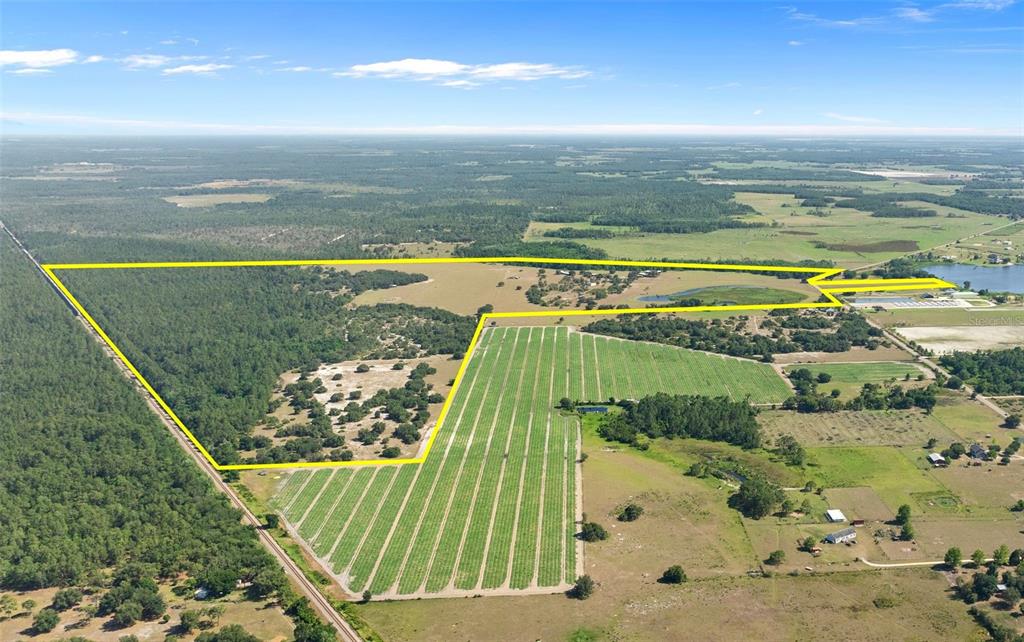 1980 Lake Buffum Road Fort Meade, FL 33841 - Photo 5 of 64