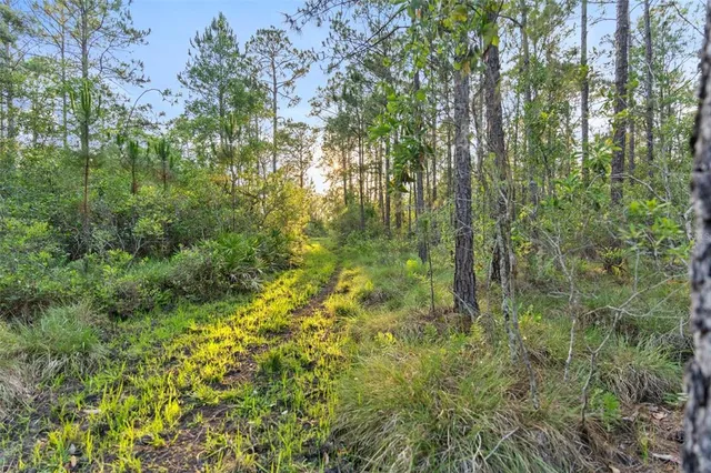 $4,100,000 | 1980 Lake Buffum Road, Fort Meade, FL 33841