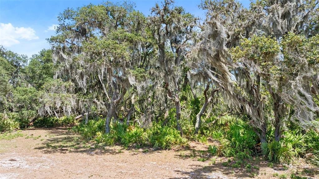 1980 Lake Buffum Road Fort Meade, FL 33841 - Photo 7 of 64