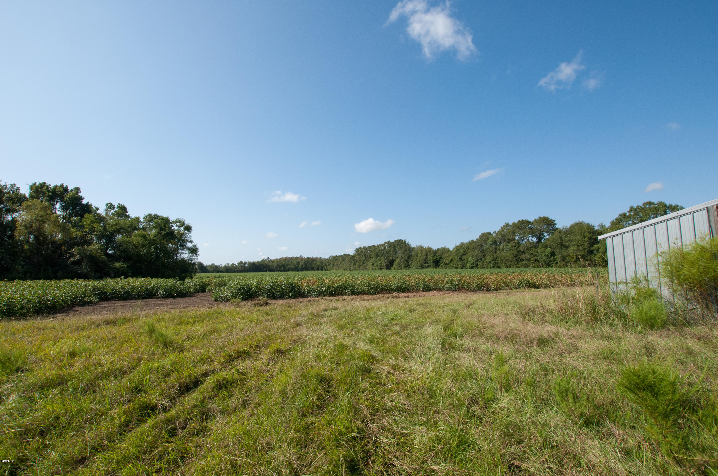6400 Tanner Williams Road Lucedale, MS 39452 - Photo 17 of 20 DSC_0037