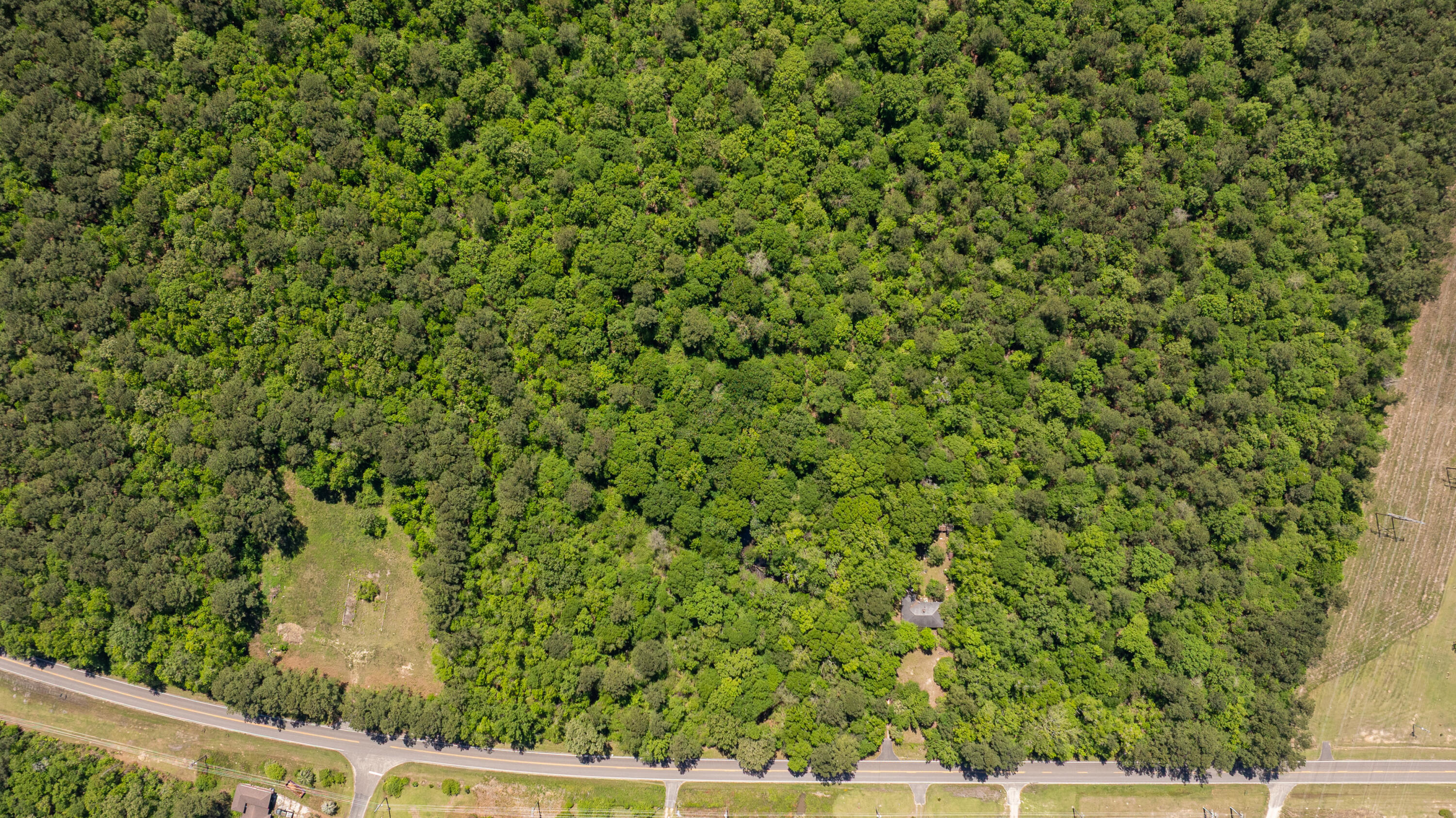 0 French Santee Road, Unit LOT A Jamestown, SC 29453 - Photo 11 of 12 Jamestown.NicoleBurbagePhoto-4