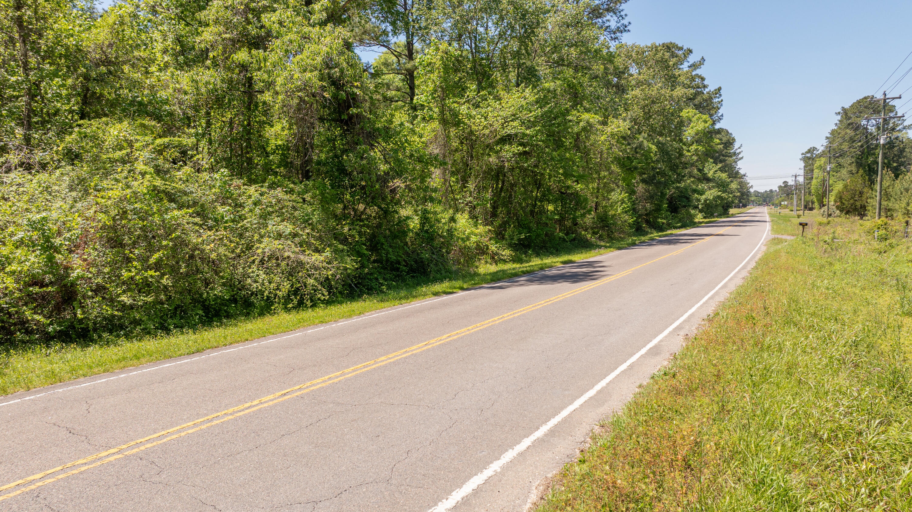 0 French Santee Road, Unit LOT A Jamestown, SC 29453 - Photo 8 of 12 Jamestown.NicoleBurbagePhoto-6