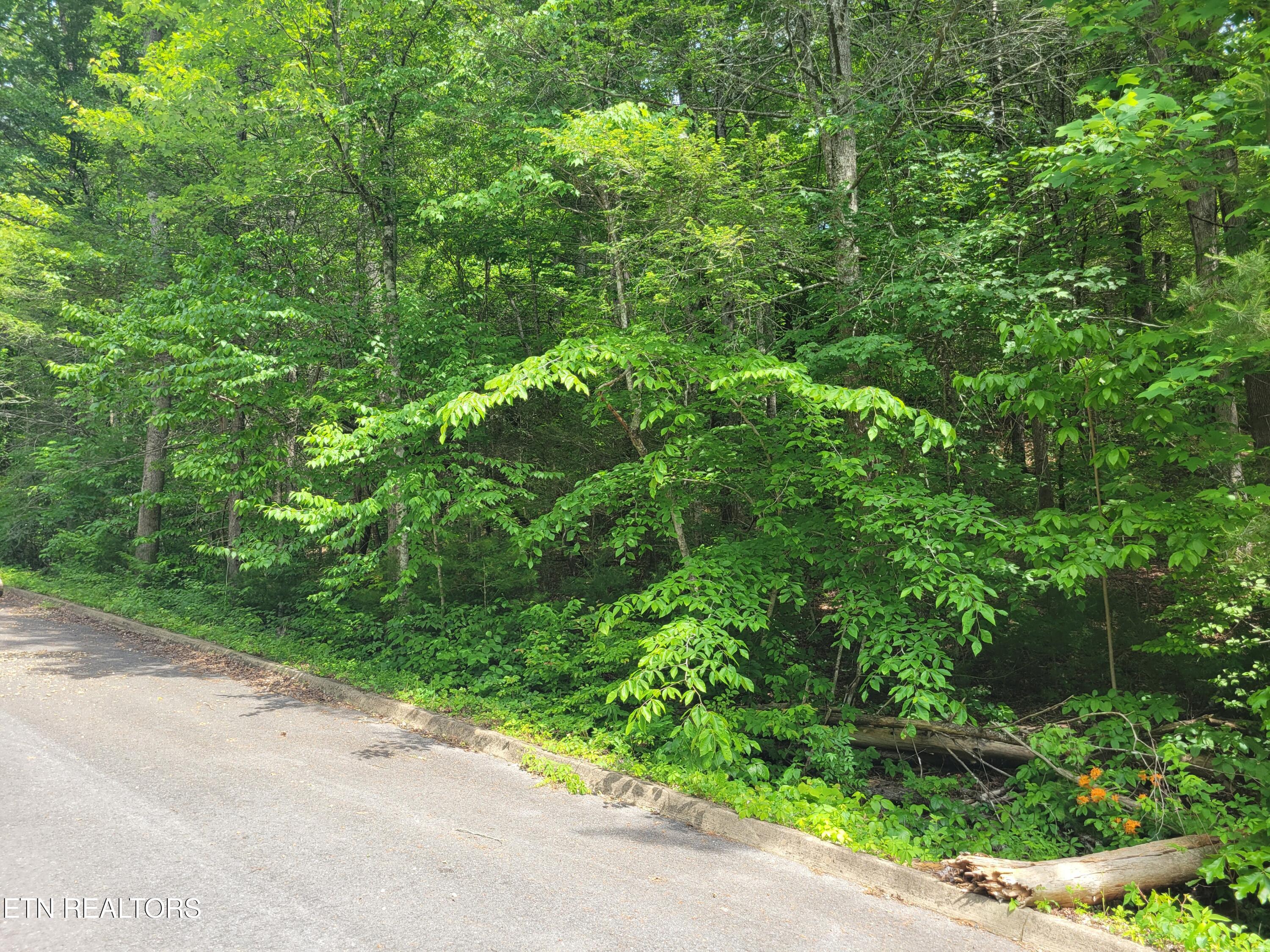 Lot 14 Peace Lane Cosby, TN 37722 - Photo 2 of 8 20260519_150736