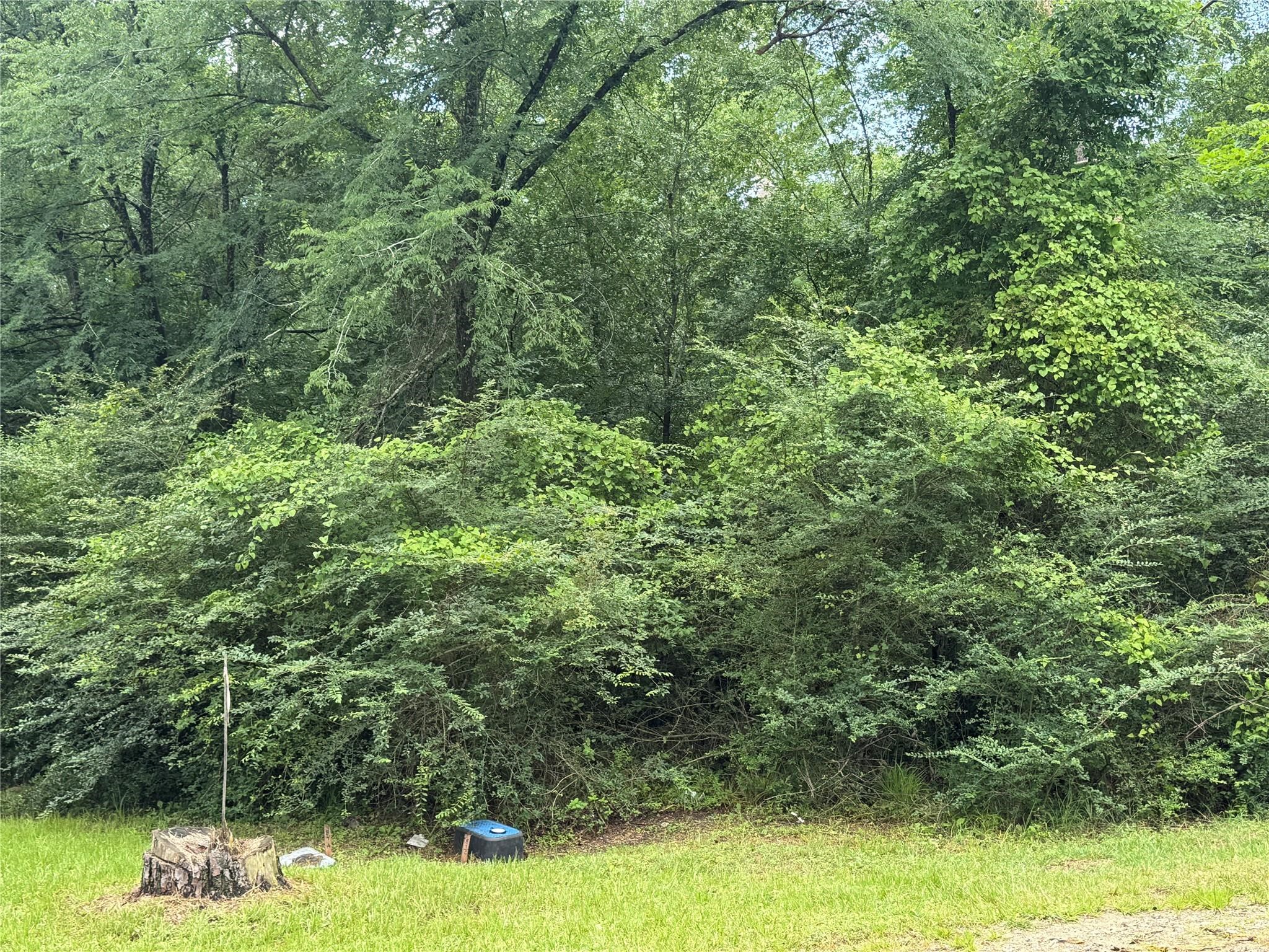 Tract B Lake Road Huntsville, TX 77320 - Photo 7 of 11 Affordable living! NO POA to contend with which means no POA dues or ridiculous transfer fees!